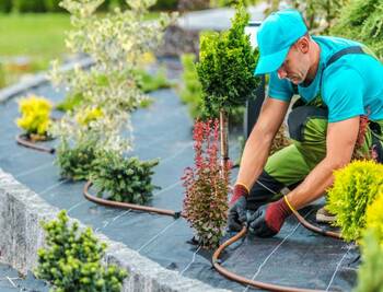 Achieve an Instant Green Lawn with Professional Sod Installation